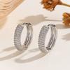 Temperament Zircon Hoop Earrings Ear Jewelry Women Sparkling Earrings  For Girls