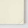 DESIGNPHIL (MIDORI) MD Notebook 1 Day 1 Page Unlined B 15389006