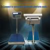 Taiheng Huierbang XK-3108-T2000A Electronic Scale, 60/100/150/300kg Capacity