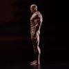 1/12 Scale Male Action Figure, 6-Inch Super Flexible and Powerful Muscle Man Figure, Cartoon Character Body Series