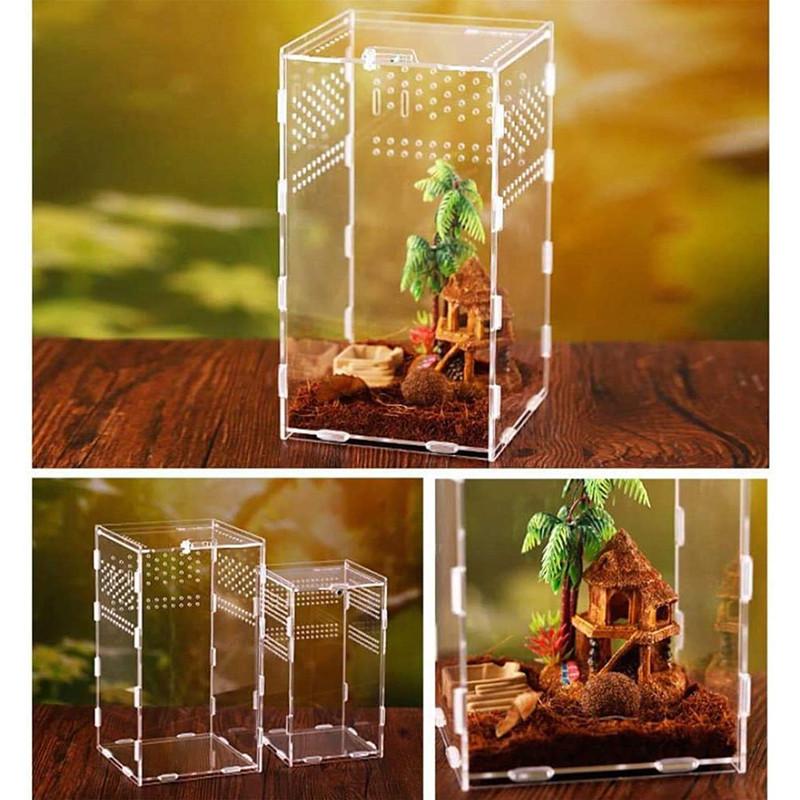 Transparent Acrylic Reptile Breeding Box 5 Size Structure Plate Insect Breathable Terrarium for Garden Cultivate Insect Breeding