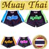 Muay Thai Training Kickboxing Shorts MMA Raja Boxing Vintage Retro Pants Print 3D Elastic Waist Fight Martial Art Quick Dry Unisex Men Women
