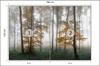 Photomural Forest In Fog Smooth Vinyl 180x120
