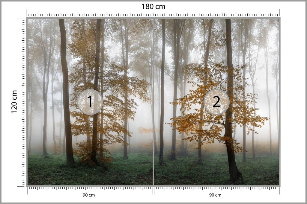 Photomural Forest In Fog Smooth Vinyl 180x120