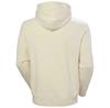 Helly Hansen Core Graphic худи