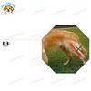 Tutori per Zampe Posteriori del Cane Ginocchiera Ortopedica Regolabile per Articolazioni Protezione Ferite Attrezzatura per il Recupero per Cani Piccoli e Medi