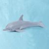 PVC Simulation Sea Life Shark Cachalot Ocean Action Figures Gift Whale Figurines