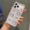 Cat Acrylic 2-in-1 Phone Case for iPhone 17 Pro Max with Apple 16/15/11 Bow Design