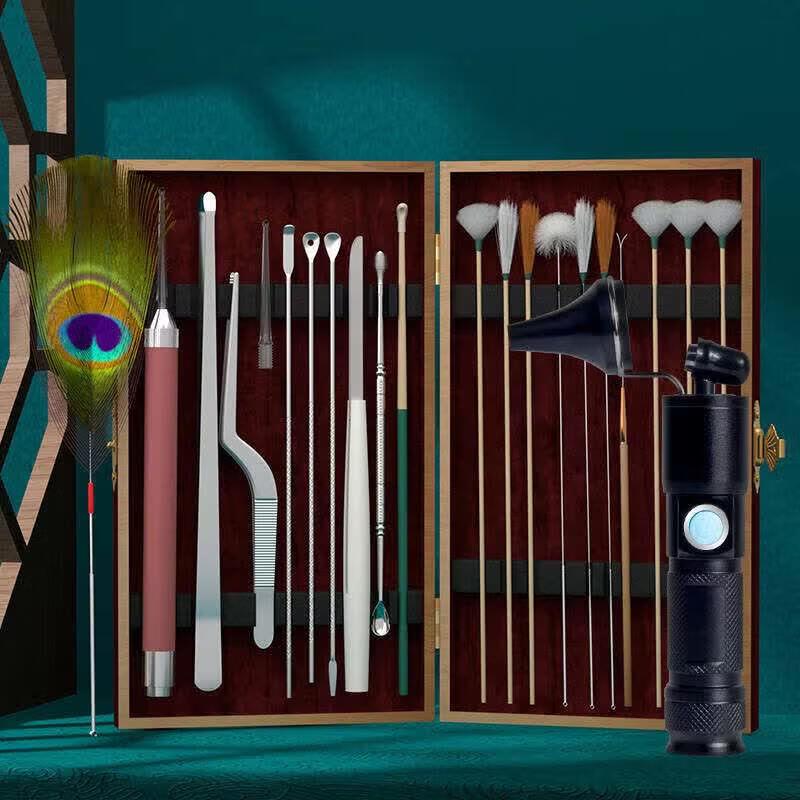 LIEI Professional Visual Ear Cleaning Kit