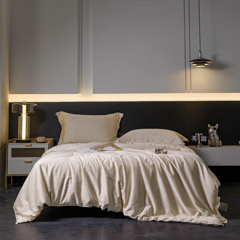 

Tangna Home Tencel Cotton Jacquard Silk Quilt