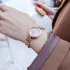 Reloj para Mujer de Esfera Pequeña, Pulsera de Reloj para Mujer de Temperamento Sencillo, Exquisito Reloj de Nicho de Lujo Ligero para Mujer