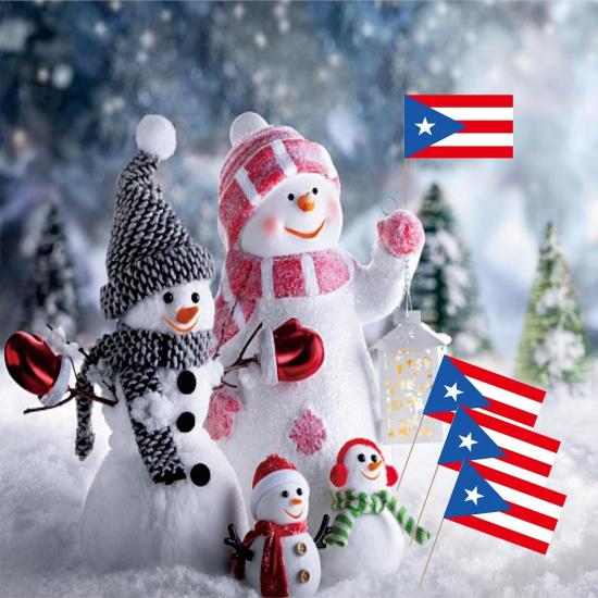Puerto Rico Toothpick Flag Puerto Rican National Small Mini Cocktail Fruit Cupcakes Toppers Food Stick Flags Decorations,100 Pack