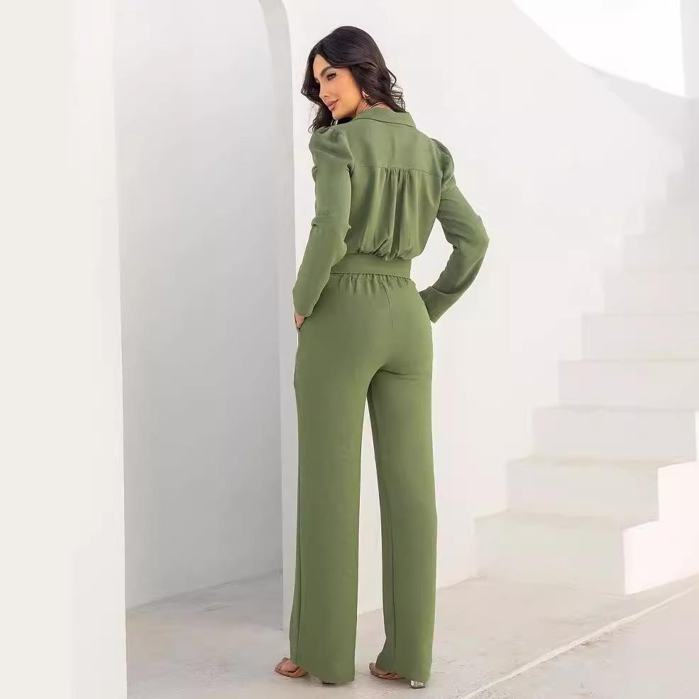2024 Herbst Europäisch & Amerikanisch Einfarbig Revers Taillenbindung Top und Hochtaillierter Weitbein-Hosenanzug