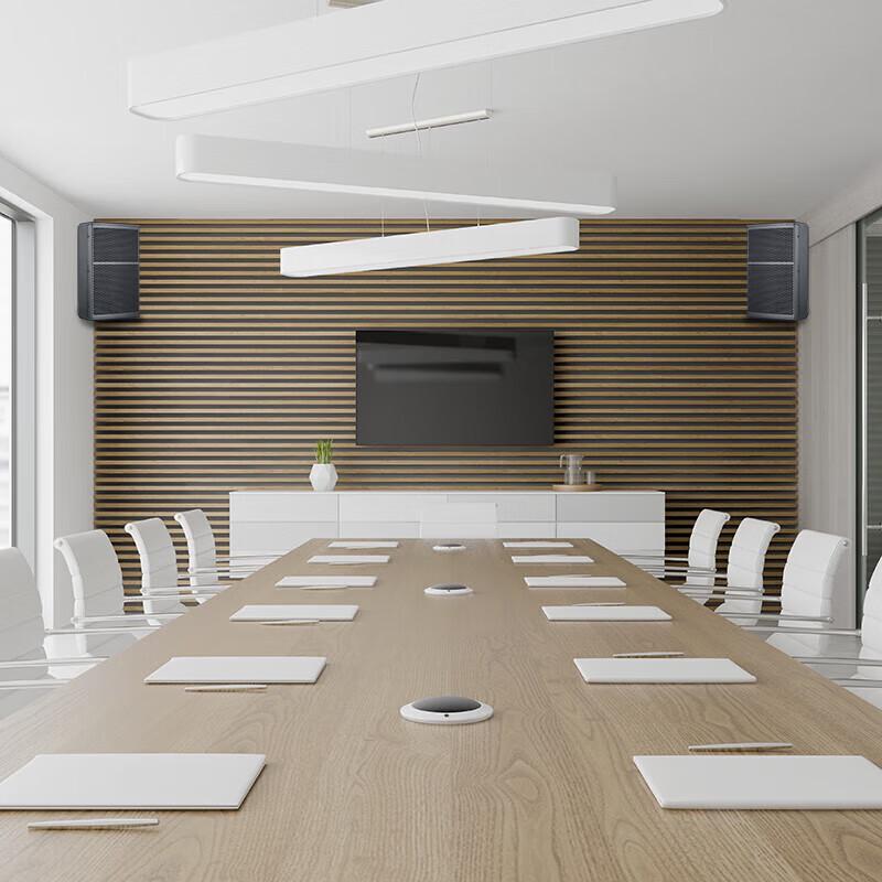 Runpu RP-HYX608 8-inch Full-Range Conference Speaker (CN version)