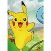 Coussin Double Face - Carré - POKEMON - Pikachu Et Starter 1G II - Microfibre - 40 X 40 Cm