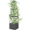 Garden Bed Planters Box for Climbing Vegetables Plant, Self Watering Tomato Cages for Garden Pots for Patio Greenhouse