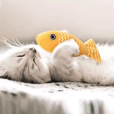 Katzen – Katzenspielzeug