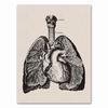 Anatomy skeleton Patent Vintage Poster Wall Art Print Canvas Painting Nordic Posters And Prints Wall Pictures For Living Room