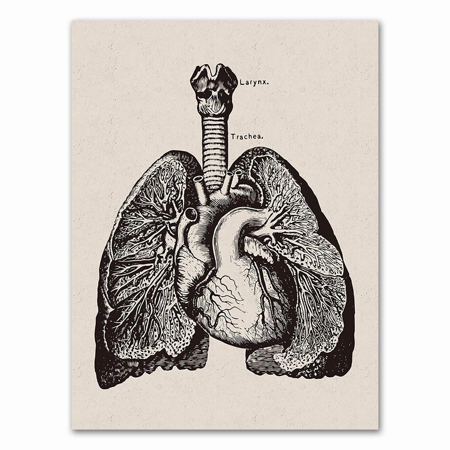 Anatomy skeleton Patent Vintage Poster Wall Art Print Canvas Painting Nordic Posters And Prints Wall Pictures For Living Room