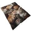 Cute Animal Theme Cats Dogs Lover Flannel Blanket Gifts Soft Warm Thin Blankets for Sofa Bed Car Camping All Season Customizable