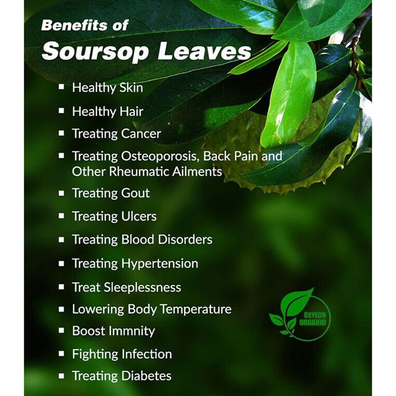 ORGANIC Soursop Guanabana Graviola Guyabano Annona muricata 40pcs Tea Bags