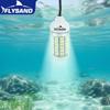 12V 15W LED Fishing Light with 108 LEDs Waterproof Bait Fish Collector Light for Raft Fishing and Plumbing Use