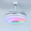 44 IN 1 2 Inches Modren RGB Ceiling Fan with Light APP Bluetooth Music Fans Light Bedroom Smart Ceiling Lamps With Remote Control