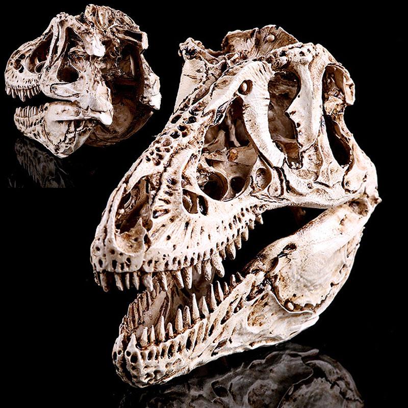 

Tyrannosaurus Skull Trex Resin Fossil Model Dinosaur Collectibles Replica Craft