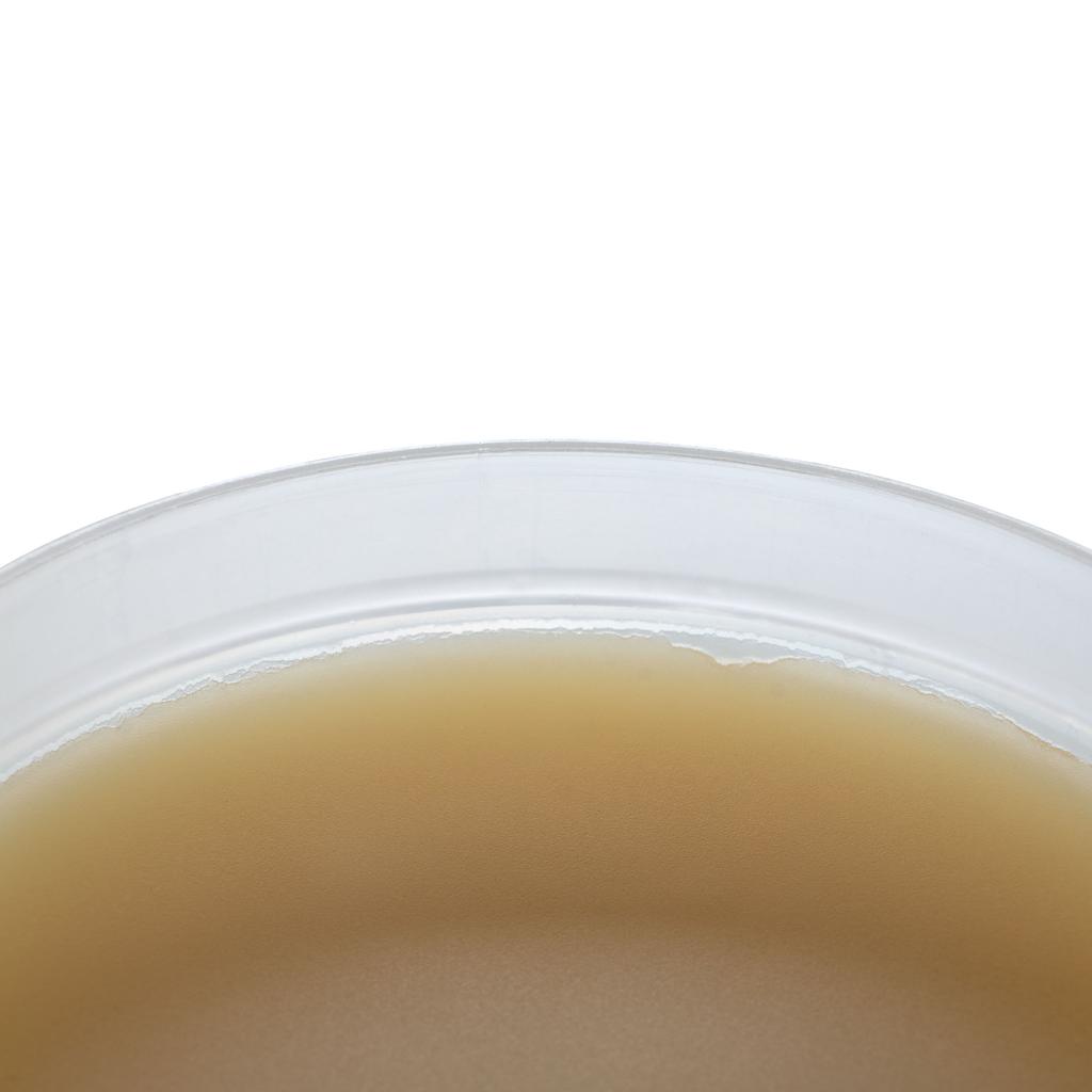 Flux / Fundente de soldadura marrón ZJ-18 en una caja de 115 ml