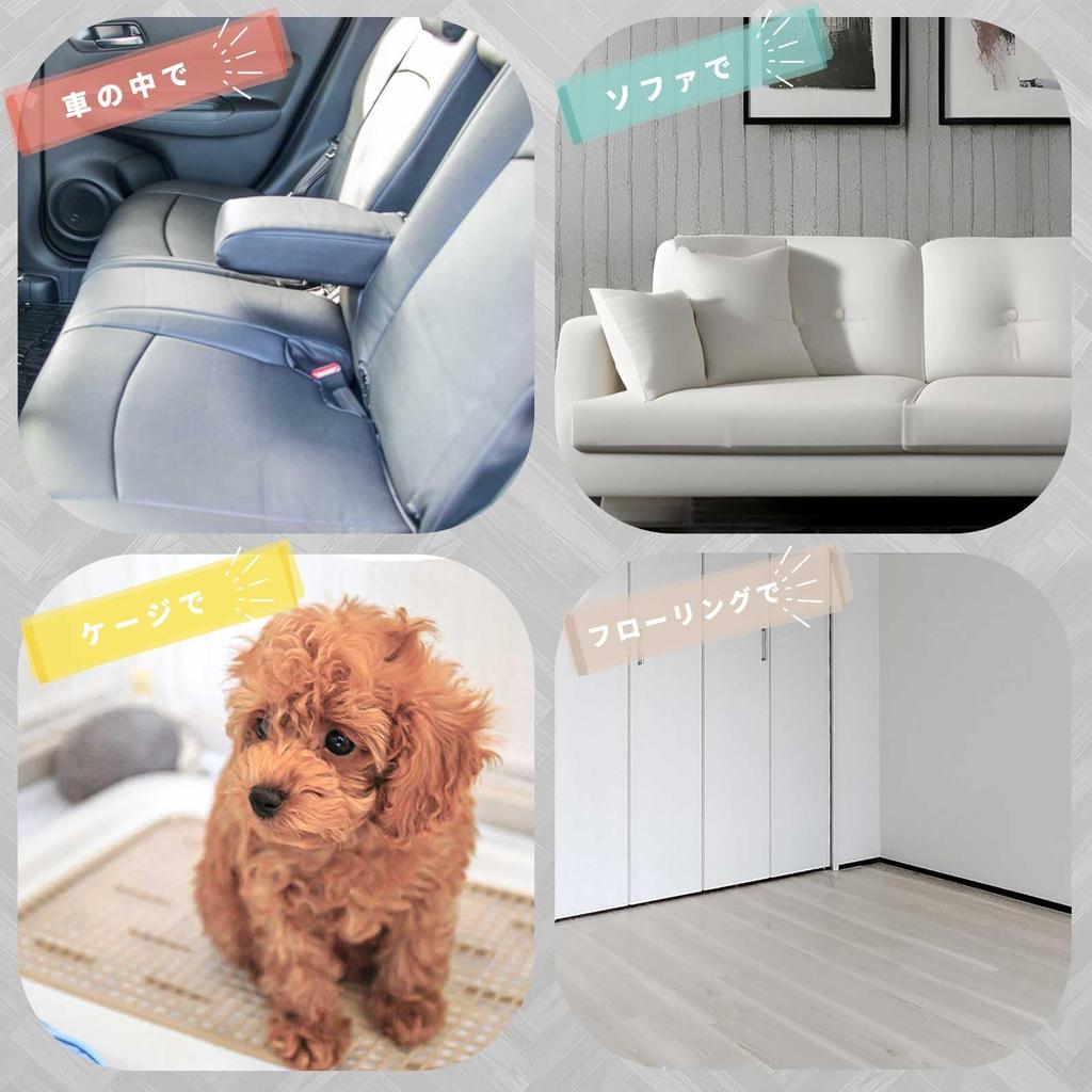 Laki Washable Dog Toilet Absorbent Set of Quick Stays In Toilet Training Fully Size S Sheets, Mat, 2, Drying, Waterproof, Antibacterial, Anti-Slip,