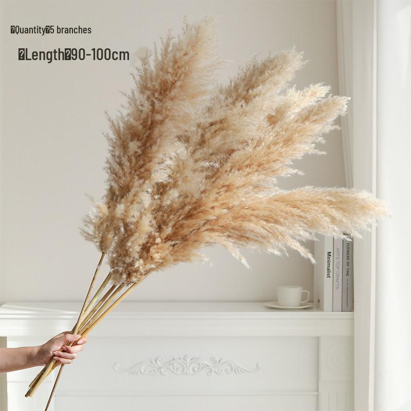 Natural Air-Dried Reed and Cattail Flower Bouquet for Floor Vase Decoration