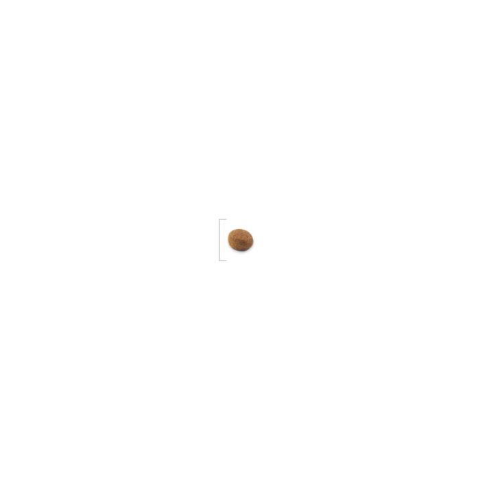 Royal Canin Feline Nutrition - Croquettes - 4 kg