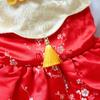 Creative New Year Pet Dress Chinese Style Pet Tang Clothes Pet Princess Skirt  Dress Up Accessories