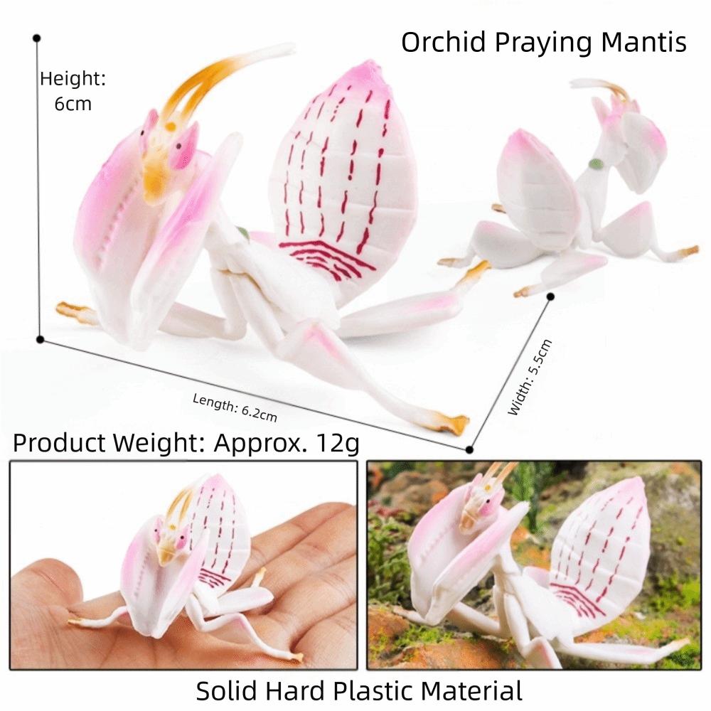 New Simulation Insect Model Figures Plastic Spider Bee Education Toy Dragonfly Cicada Animals Model Set Horror Props