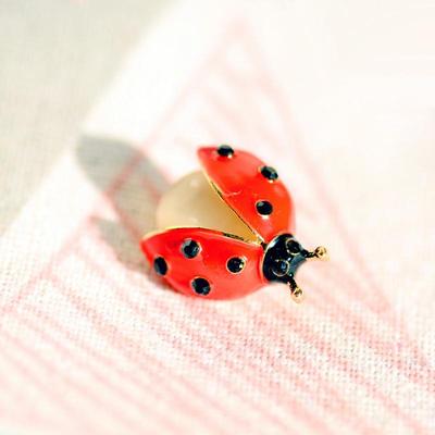 Roztomilá brož Beruška pro ženy Unisex Opal Červený smalt Brouk Hmyz Párty Ležérní brož Pin Dárek