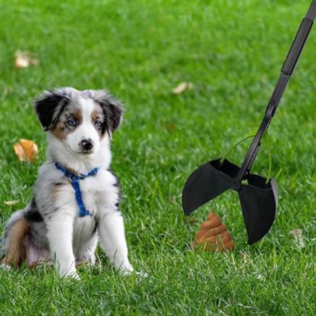 Ramasse crottes pliable pour chien, polyvalent, grande capacité, manche long, ramasse crottes pour animaux de compagnie pour chiens de grande, moyenne et petite taille