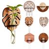 Gift Minimalist Style Wall Mounted Plant Holder Plastic Tube Space Saving Green Plant Display Rack Plant Shelf Indoor Home Decor