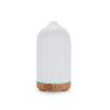 USB Vertical Strip Aroma Diffuser 100ml - Desktop Essential Oil Humidifier for Indoor Use