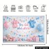 2D Plane Gender Reveal Party Background Banner - Pink and Blue Flags Theme, Suitable for Indoor and Outdoor Celebrations
