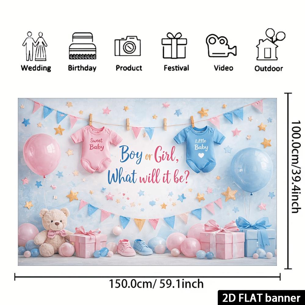 2D Plane Gender Reveal Party Background Banner - Pink and Blue Flags Theme, Suitable for Indoor and Outdoor Celebrations