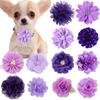 Wholesale 96pcs Pet Dog Cat Puppy Accessories Remove Pet Flower Collar Charms Pet Dog Bow Tie Collar Pet Decoration Supplies