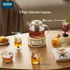 OIDIRE Smart Multifunctional Tea Kettle with Glass Stew Pot CN plug (adapter included)