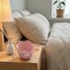 Plastic Material Jewelry Tray Simple Design Key Storage Box New Bowknot Storage Dish  Party