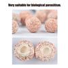 Aquarium Fish Hollow Filter Quartz Sphere Bio Media Accessories for Filtration Ceramic Filtering  s with Fine Mesh Bags Water Cleaning