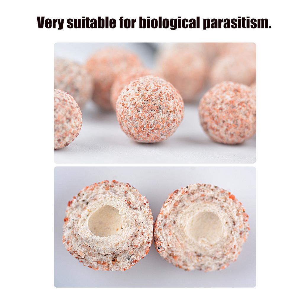 Aquarium Fish Hollow Filter Quartz Sphere Bio Media Accessories for Filtration Ceramic Filtering s with Fine Mesh Bags Water Cleaning