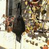 Lifesize dead crow decoration for haunted attractions