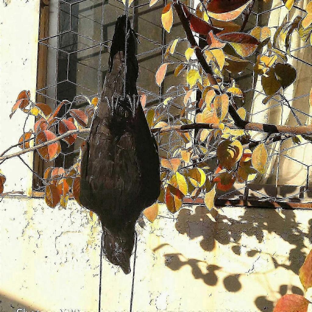 Lifesize dead crow decoration for haunted attractions