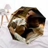 Keanu, automatic folding umbrella, portable and foldable design, 8 ribs, a Christmas or birthday gift.