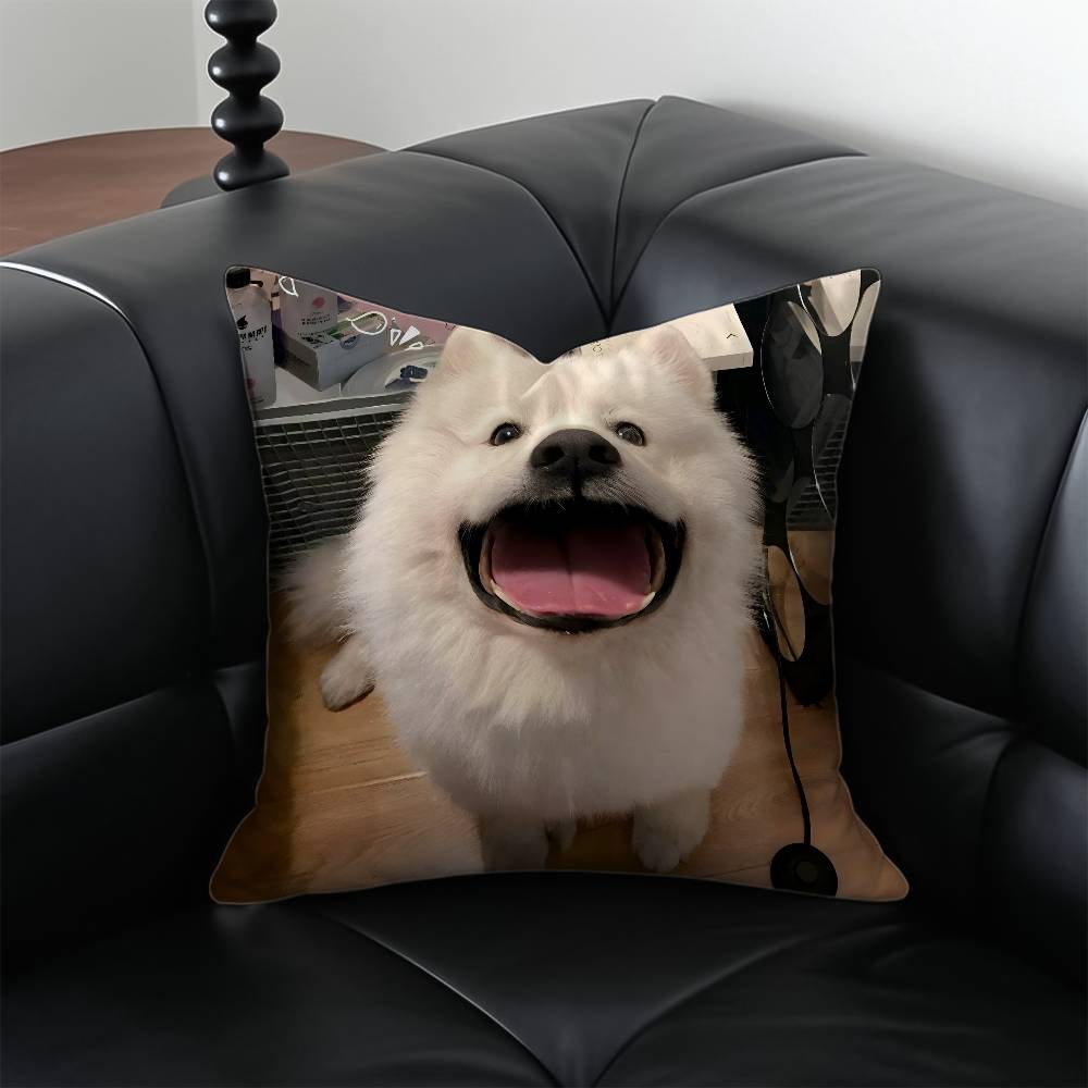 

Happy Cute Puppy Smiling Sunshine Pillow Case Anti-dustmite Pillowcase Invisible zipper silky short plush Sofa cushion cover 12x12Inch