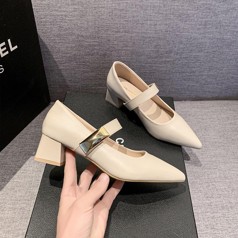 Single shoes women's spring and autumn new temperament Mary Jane shoes pointed thick heel medium heel women's shoes